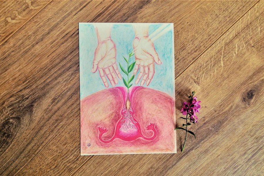 הרחם יודעת אנטומיה אינטימית מיטל פאר  זוגיות הלכה מיניות מגזין גלויה הרבנית שרה סגל-כץ Rabbanit Sarah Segal-Katz