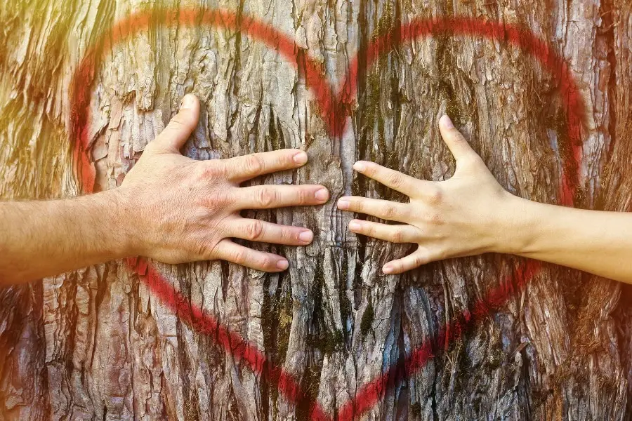 חותמי אהבה גופניים