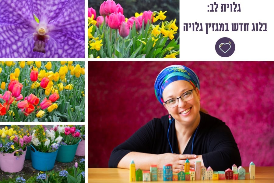 גלוית לב בלוג חדש