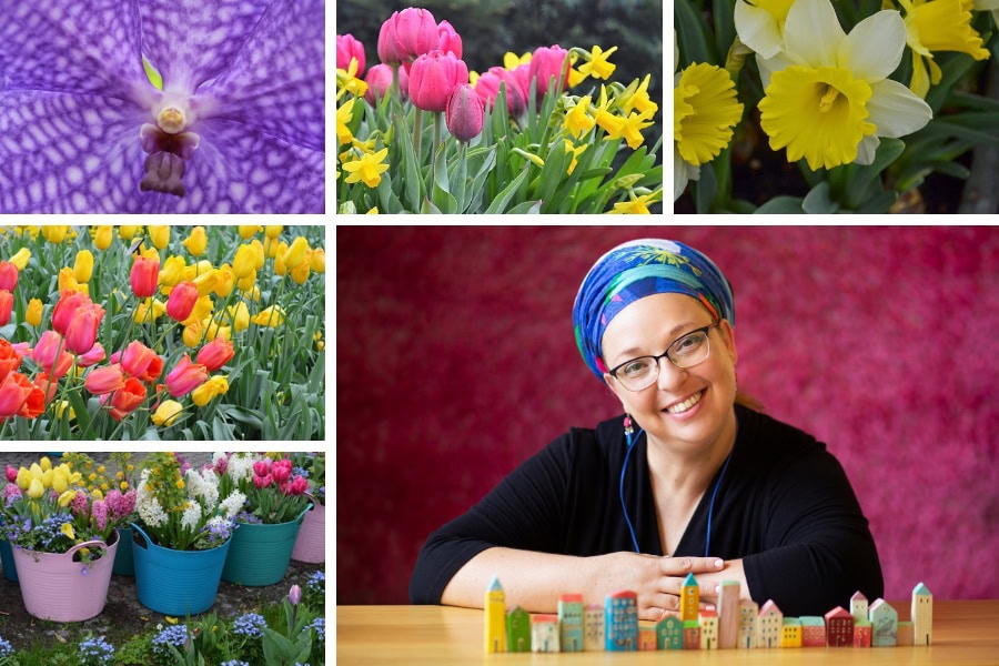 גלוית לב - בלוג מגזין גלויה הרבנית שרה סגל-כץ