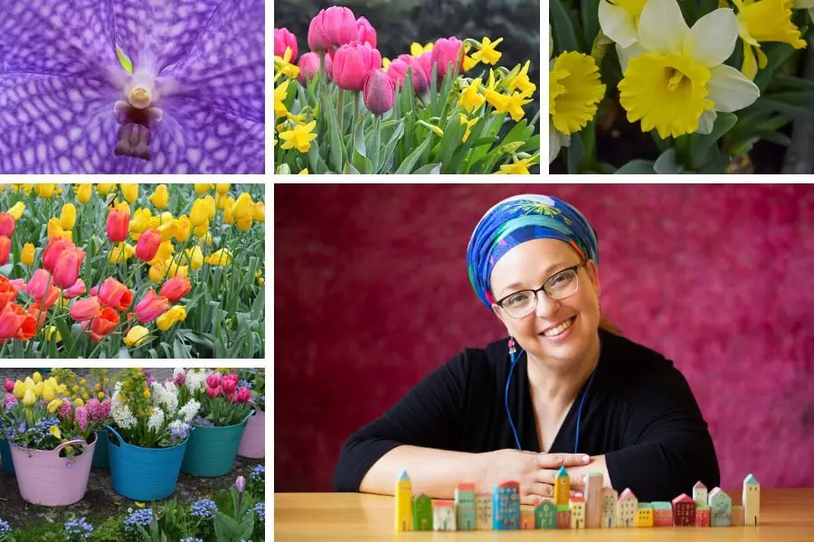 גלוית לב - בלוג מגזין גלויה הרבנית שרה סגל-כץ