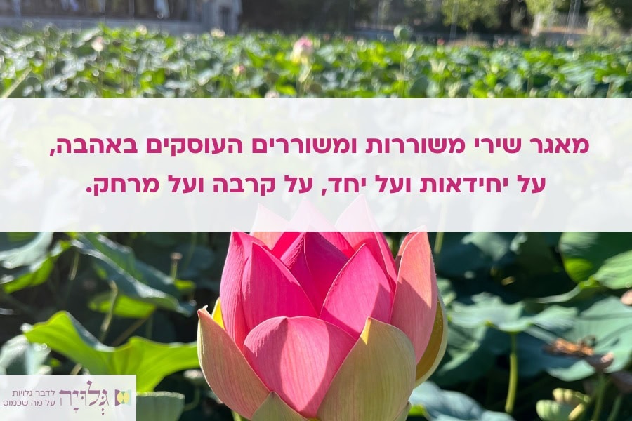 שירי משוררות ומשוררים על אהבה