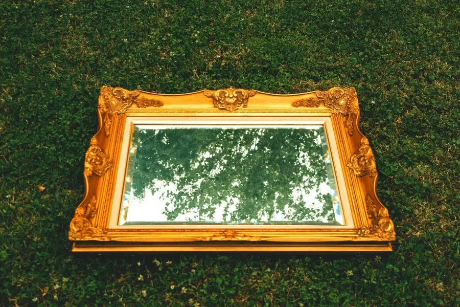 מראה לצמרות: כנרת סמואל פולאק