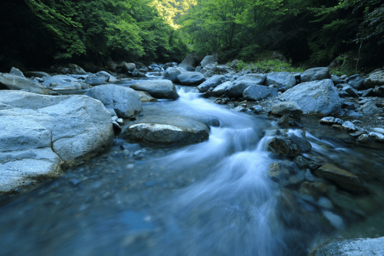 הנהר של חייו, שיר מאת בלפור חקק - מגזין גלויה