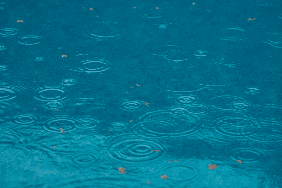 תפילת גשם חדשה – על נשי ישראל וטבילת נשים - ד״ר יעל לוין - מגזין גלויה