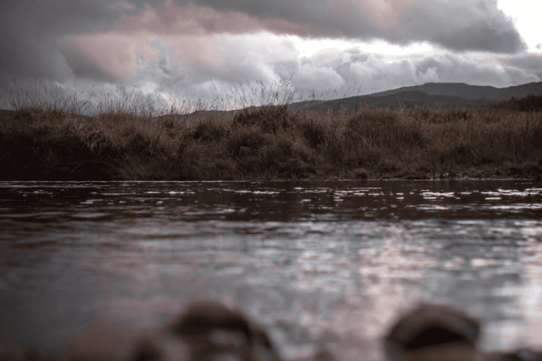 על שפת הנהר, שיר מאת צופיה הרבנד - מגזין גלויה