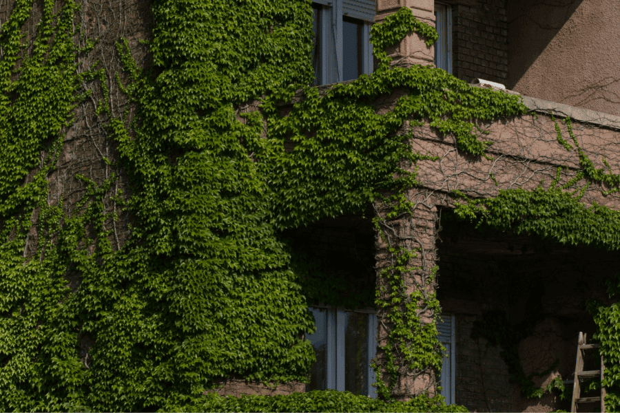 מ׳אות כתובה׳ ל׳אות ברית׳: על הצורך לכונן מחוייבות מוסרית כתובה כנגד פוטנציאל ניצול ופגיעה, מאמר מאת הרבנית שרה סגל-כץ - מגזין גלויה