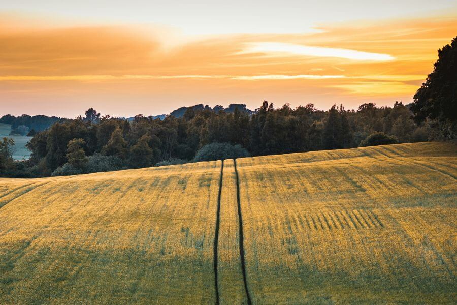 נישא תפילה - תפילה מאת הרבה הדס רון זריז, מגזין גלויה