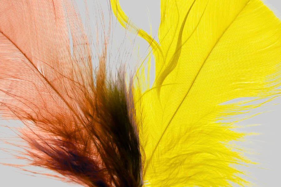 תפילה לחטופים ולשבויי המלחמה - מאת: הרב מני גל, מגזין גלויה