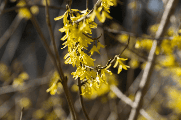 חוברת התפילות שלנו, מאמר מאת מילנה קרטובסקי עייאש