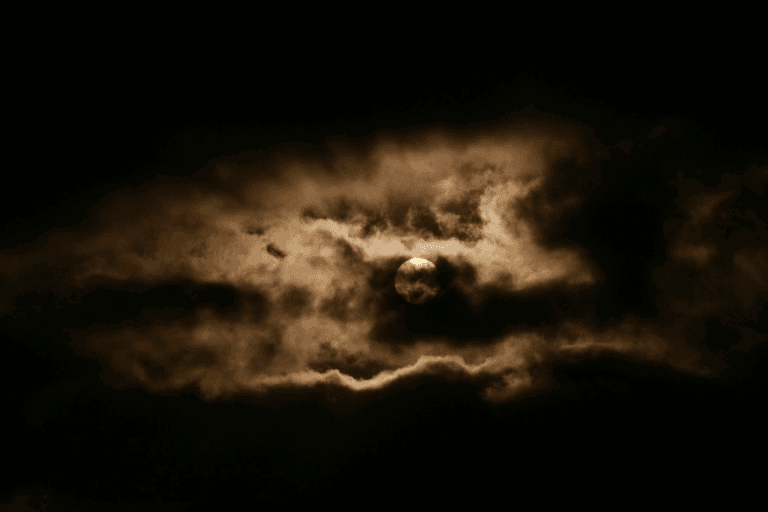 שנצא מתוך המיצרים והכיסופים אל חירות שלמה, מאמר מאת הרבנית שרה סגל־כץ - מגזין גלויה