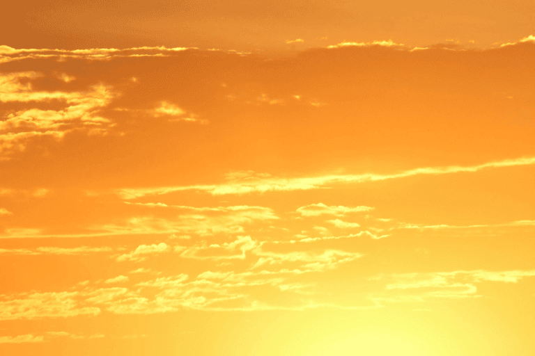 למען החירות, מאמר מאת ז'אן־דוד ישי - מגזין גלויה