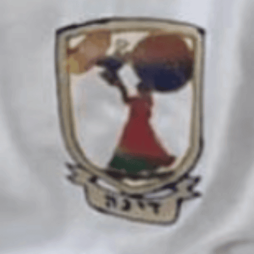 המתבכיינות: בנות דינה במסע להשבת הקינה, מאמר מאת אילה שעשוע־מירון - מגזין גלויה