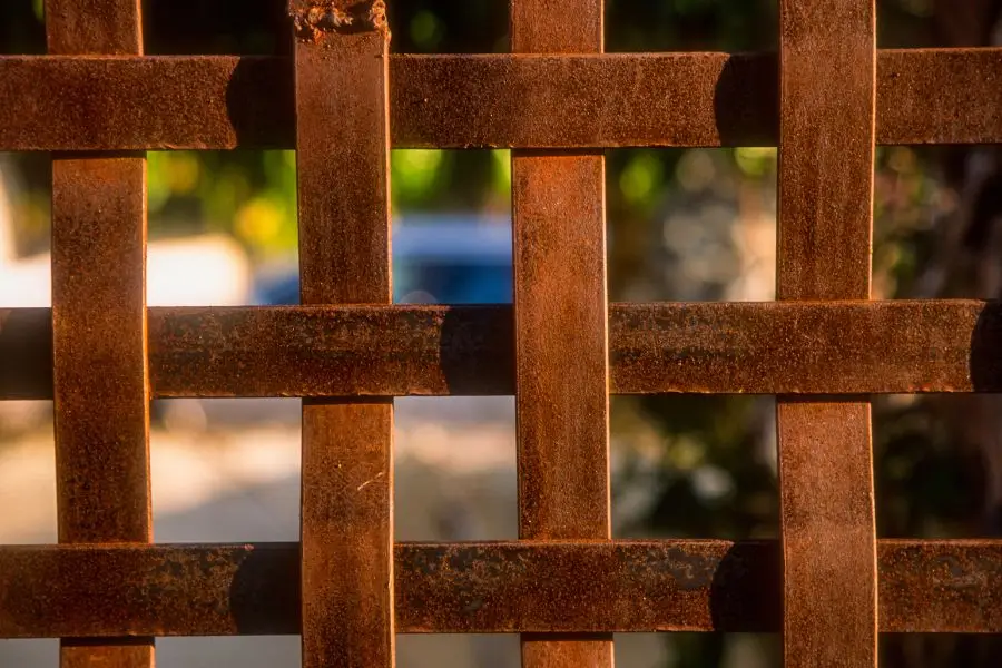 לכונן מרחב חיים בטוח: על מוגנות מינית, רגשית ורוחנית כאחריות חברתית, מאמר מאת הרבנית שרה סגל־כץ - מגזין גלויה