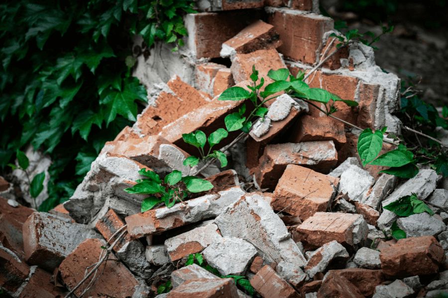 היום שבו נחזור לנשום, שיר מאת לילך פוקס - מגזין גלויה