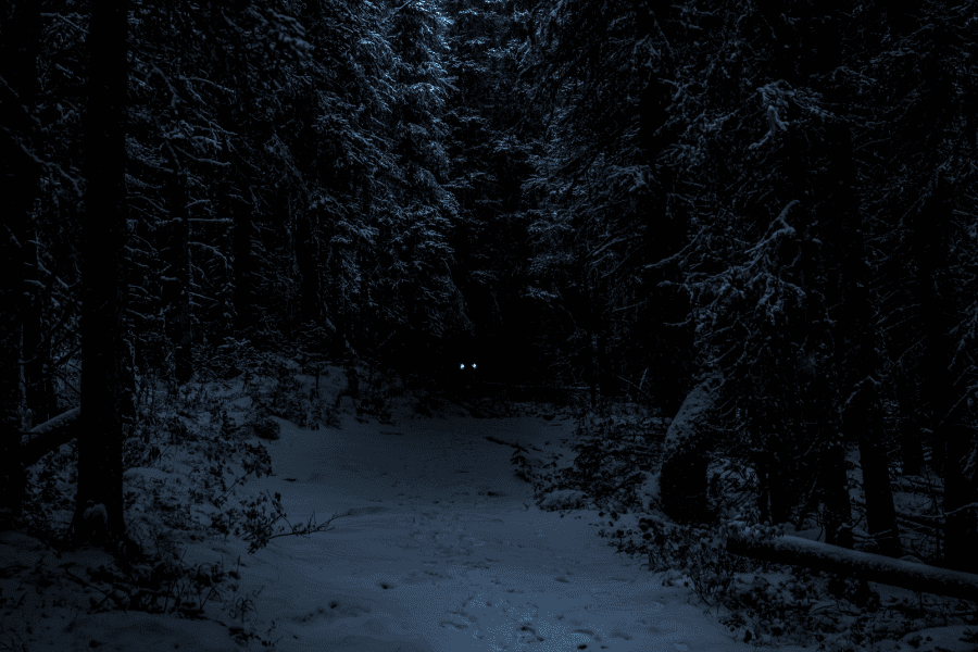 מפלצות וקורבנות אדם, מאמר מאת הרבנית מיכל נגן - מגזין גלויה