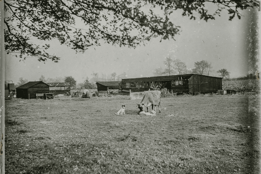 בלי געגוע, שיר מאת מרטין הרשקוביץ - מגזין גלויה