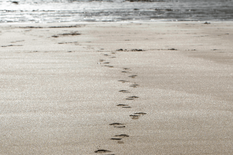צעדים, שיר מאת עדיאל שושני - מגזין גלויה