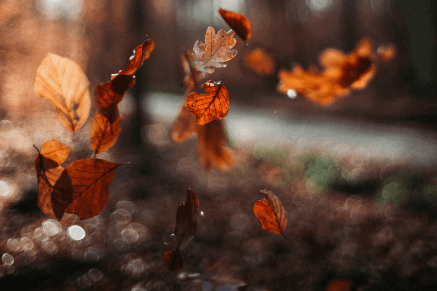 Untitled design(3)(1)