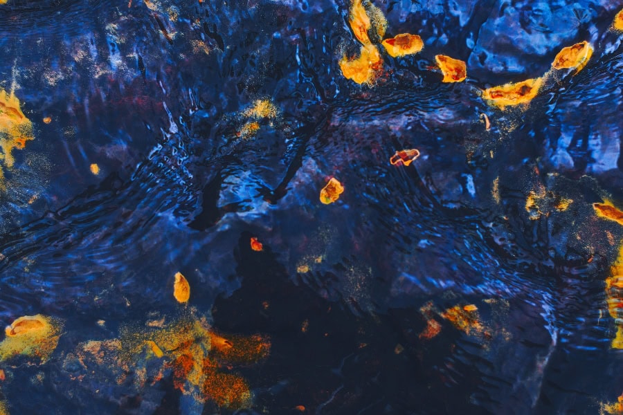 נדודים | Wondering - שיר מאת חיים א. רכניצר, מגזין גלויה