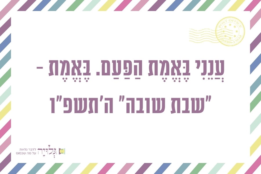 shabbat 5786 newsletter