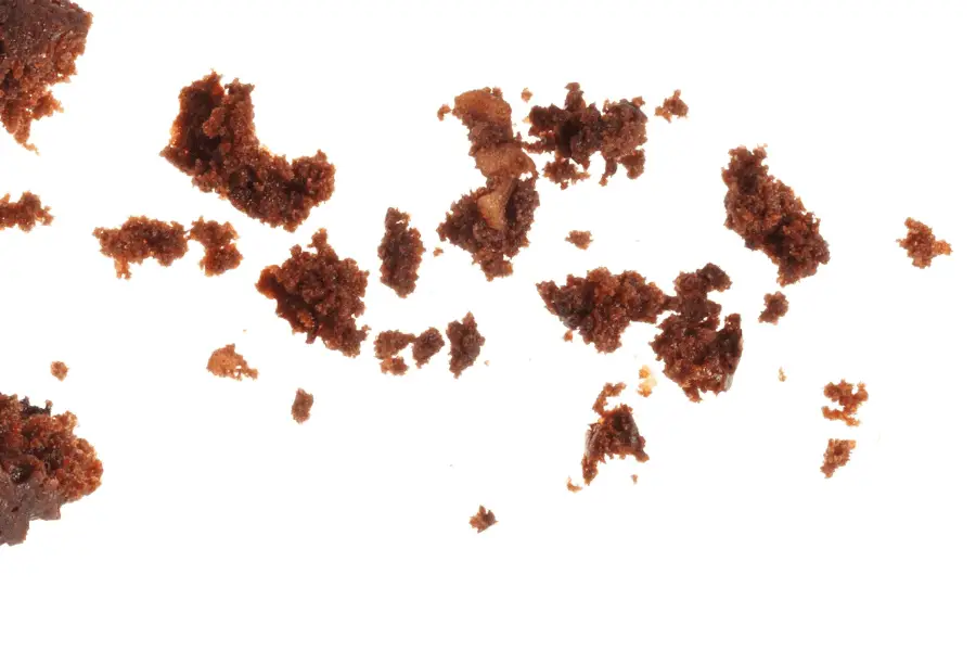 אוורסט, שיר מאת מורי לידר - מגזין גלויה