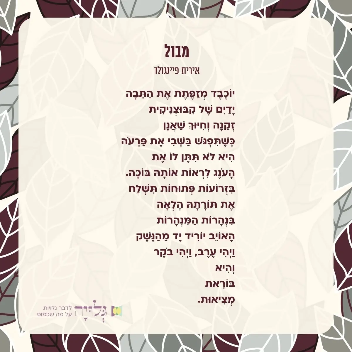 מבול - שיר מאת: אירית פיינגולד, מגזין גלויה