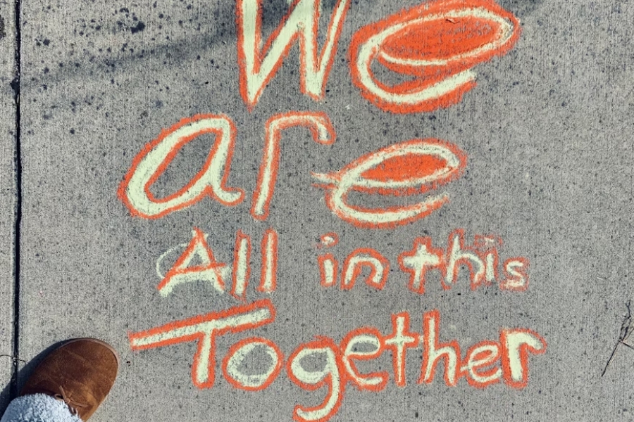 קיפודים, שיר מאת אסנת אלדר - מגזין גלויה