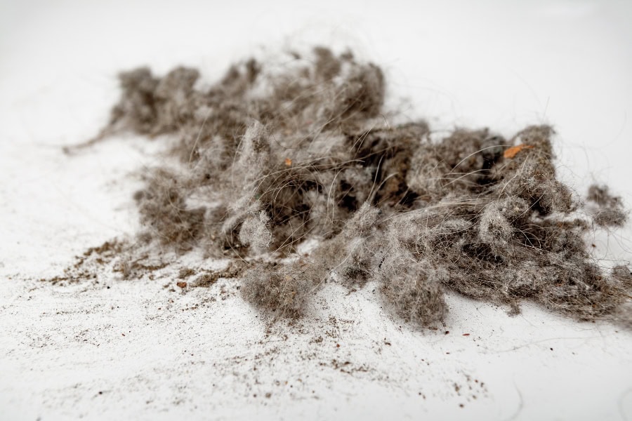 שושי מטאטאה - שיר מאת אורה ברקן, מגזין גלויה