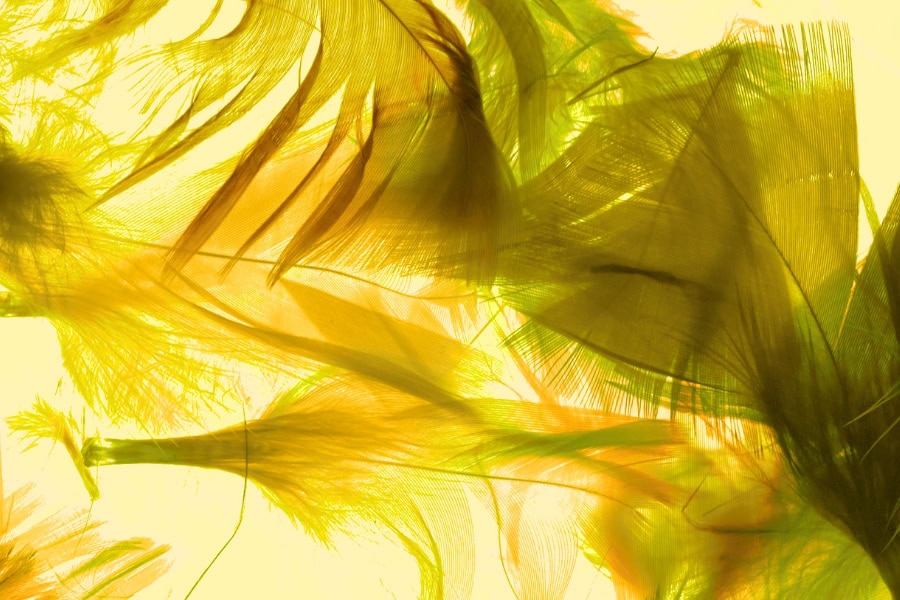 תפילה מאת הרַבָּה איריס יפה בונדי, מגזין גלויה