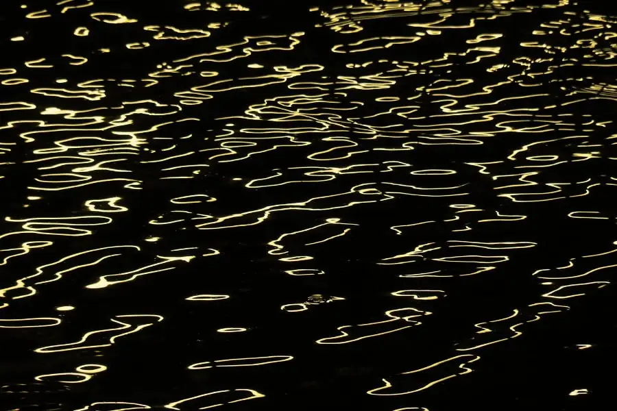 קולה המושתק של דינה - שיר מאת אסנת אלדר - מגזין גלויה