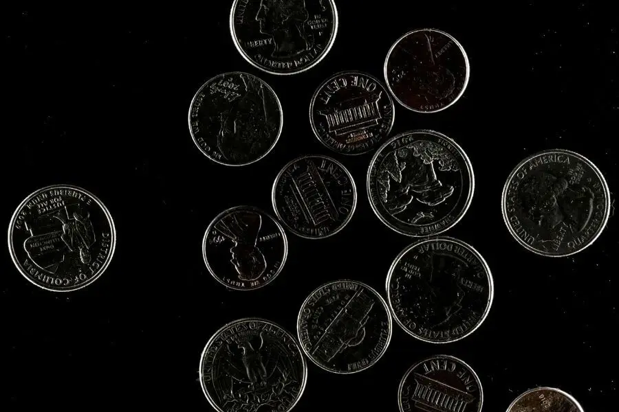 עץ או פלי, שיר מאת יגאל שחר - מגזין גלויה