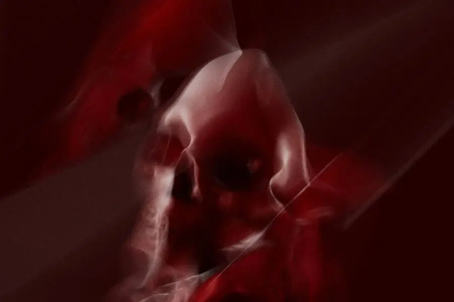 דופק, שיר מאת דנה שניצר משיח - מגזין גלויה