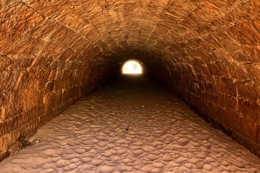 מדרשי נבָלה, מדרש מאת הרבה אשרת מורג - מגזין גלויה