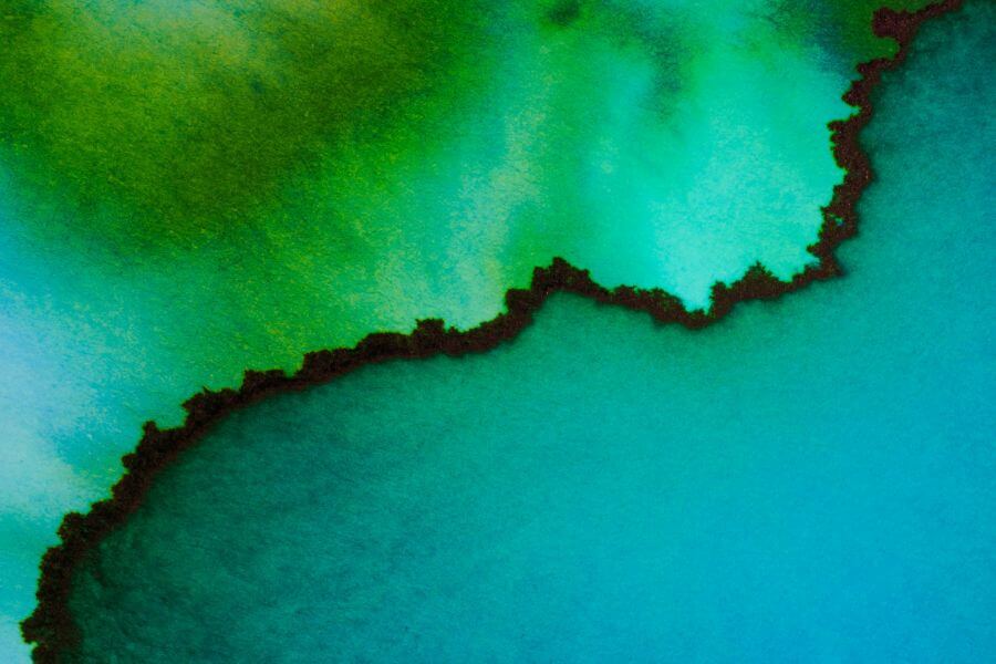 חמלה, שיר מאת דפנה פלדמן - מגזין גלויה