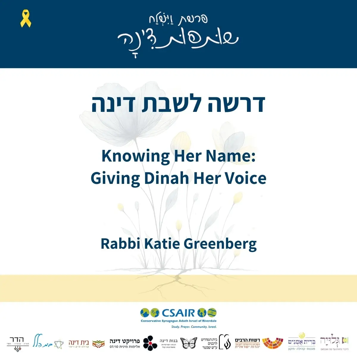 drasha shabbat dinah - Rabbi Katie Greenberg