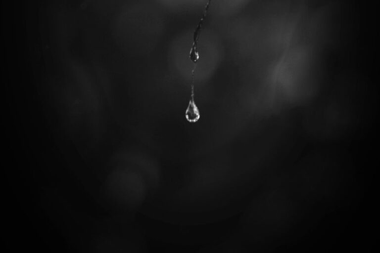 לעשות בדינה, שיר מאת חיים א. רכניצר - מגזין גלויה