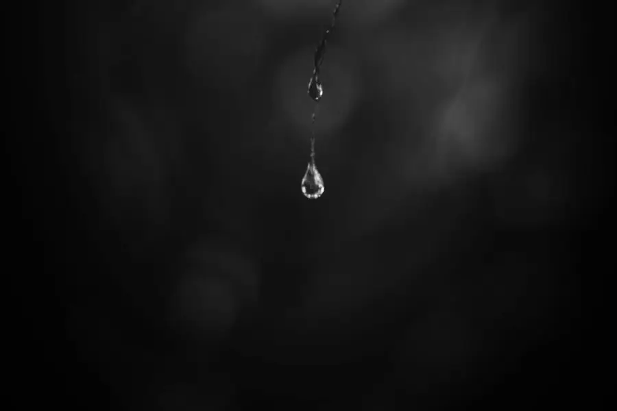 לעשות בדינה, שיר מאת חיים א. רכניצר - מגזין גלויה