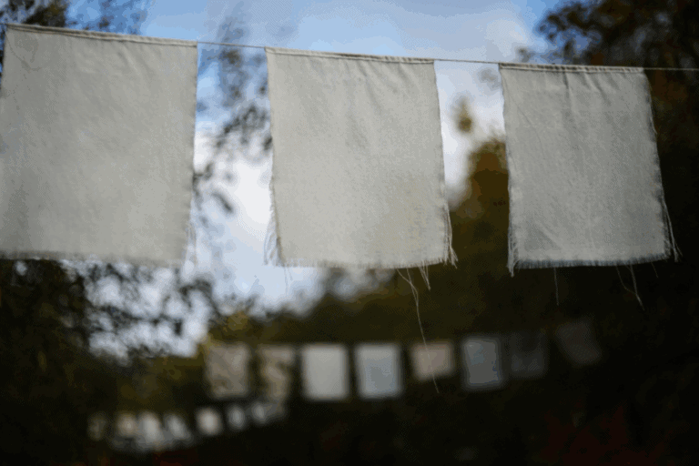 דינה, שיר מאת רחלי אברהם־איתן - מגזין גלויה