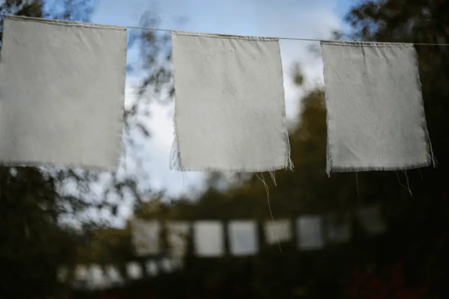 דינה, שיר מאת רחלי אברהם־איתן - מגזין גלויה