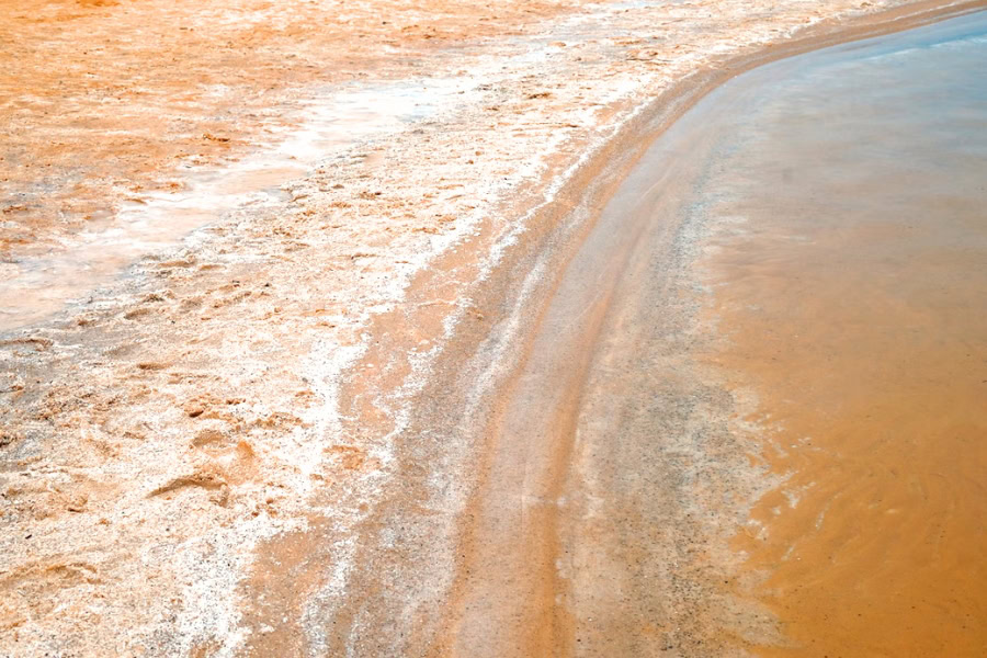 צילום: Toa Heftiba