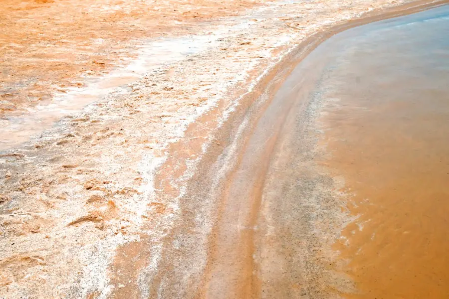 צילום: Toa Heftiba