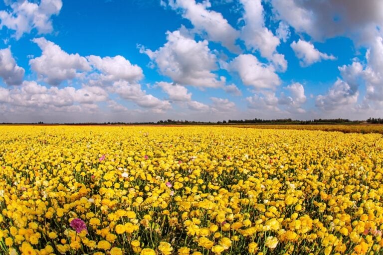 ברוך הטוב והמטיב, בלב נשבר, תפילה מאת הרַבָּה נועה מזור - מגזין גלויה