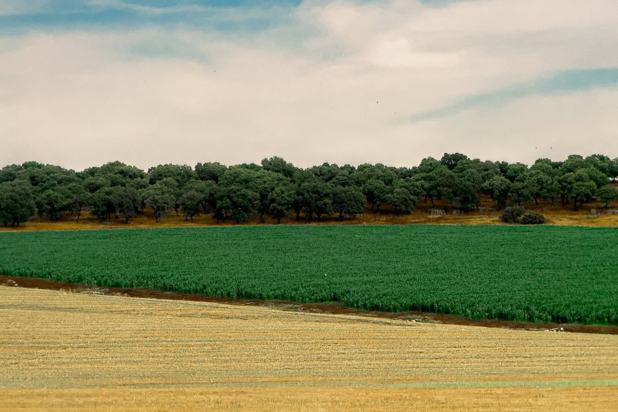 עד נחיה גם ימי מנוחה, שיר מאת הרב עודד מזור - מגזין גלויה