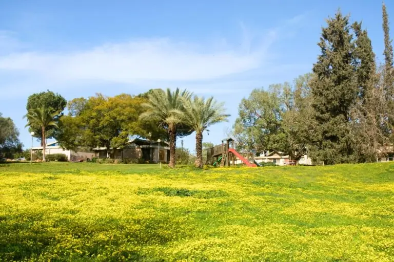 כשכולם ישובו - שיר מאת סלעית לזר, מגזין גלויה