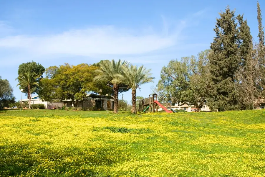 כשכולם ישובו - שיר מאת סלעית לזר, מגזין גלויה