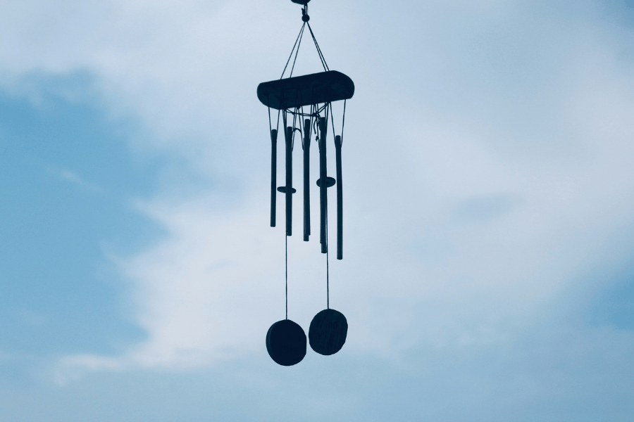 בני שואל, שיר מאת רתם אלדר היבש - מגזין גלויה