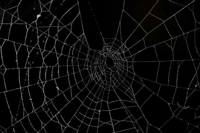 ארסן, שיר מאת מאור צברי - מגזין גלויה