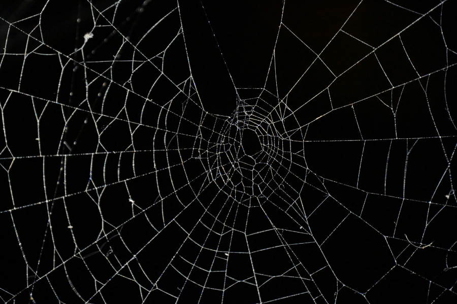 ארסן, שיר מאת מאור צברי - מגזין גלויה