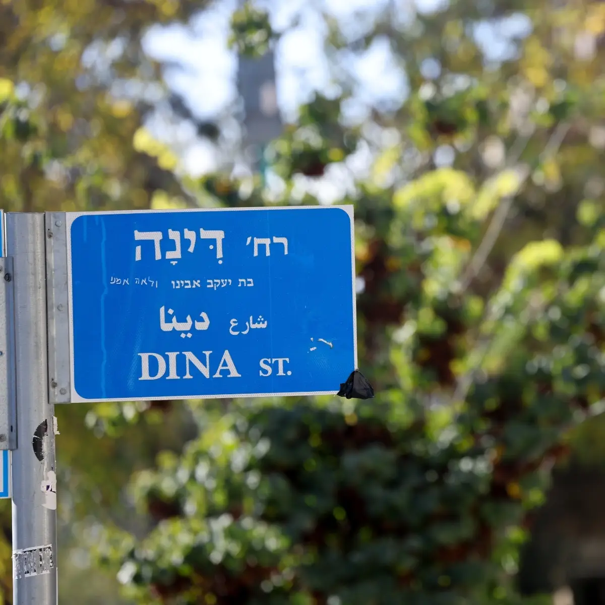 התכנסות ברחוב דינה 2025